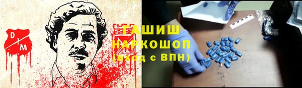 прущие грибы Елабуга