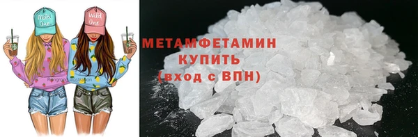 прущие грибы Елабуга