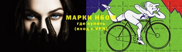прущие грибы Елабуга