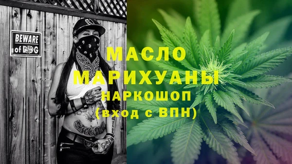прущие грибы Елабуга