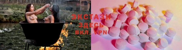 прущие грибы Елабуга
