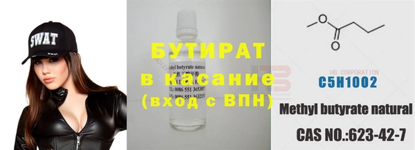 прущие грибы Елабуга
