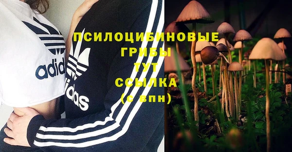 герыч Ельня