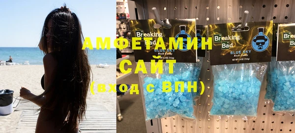 прущие грибы Елабуга