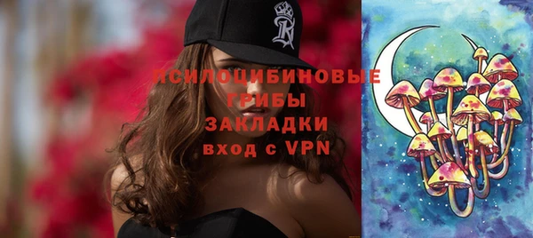 герыч Ельня