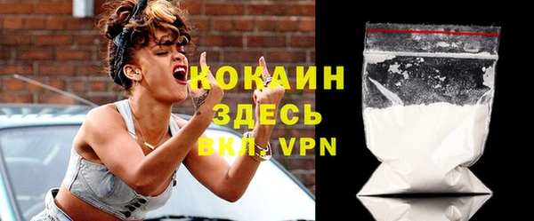 прущие грибы Елабуга