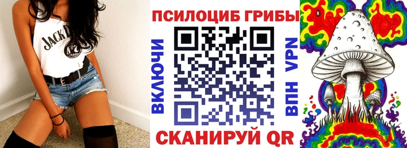 Галлюциногенные грибы Psilocybine cubensis  Петров Вал 